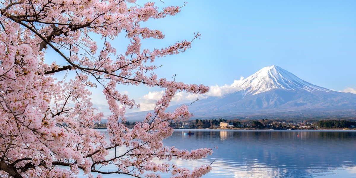 🏞️ 시미즈 후나코시 둑 공원 (시미즈 후나코시 츠츠미 코엔) 이미지 6